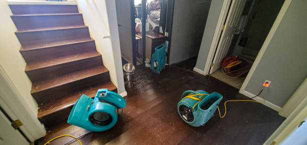 Best Flood damage cleanup  in Mounds, OK