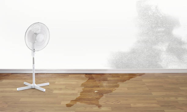Best Water damage restoration near me  in Mounds, OK